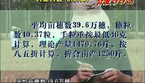 2010众麦998专题