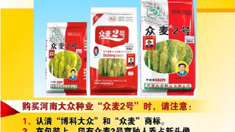 众麦2号正阳2012