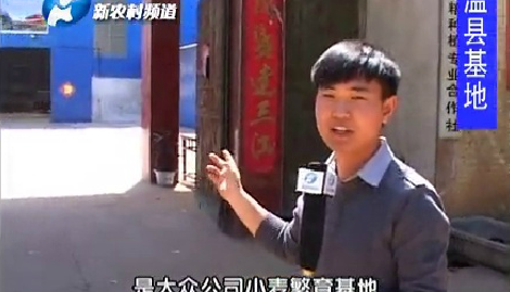 2014大众种业小麦原种基地记录片