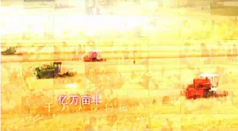 众麦一号(10秒)
