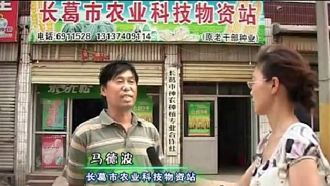 众麦2号专家(30秒)