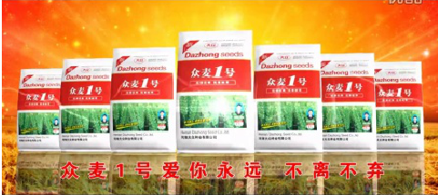 2015众麦1号成品男版