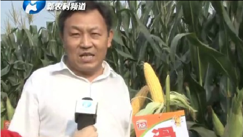 2014大众滑玉12，大众858荥阳观摩