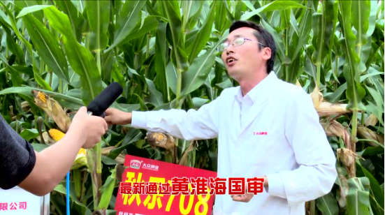 秋乐708（28秒版）