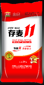 存麦11